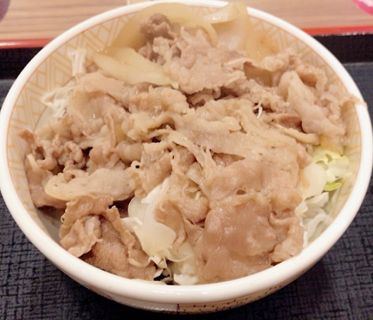牛丼ライト