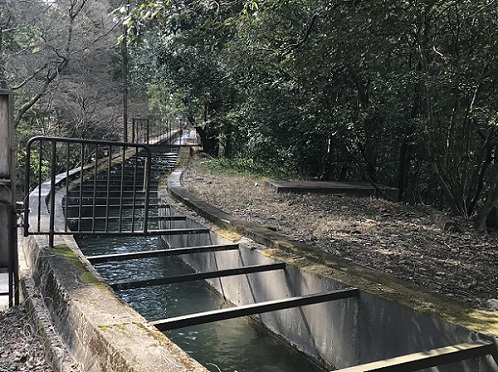 南禅寺の水路閣