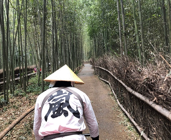 京都の人力車と竹林