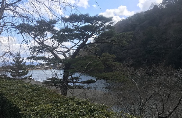 翠嵐ラグジュアリーコレクションホテル京都からの景色