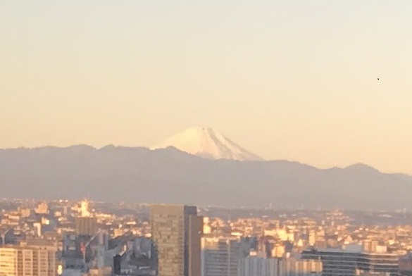 ホテルニューオータニ東京のタワーレストランからの景色