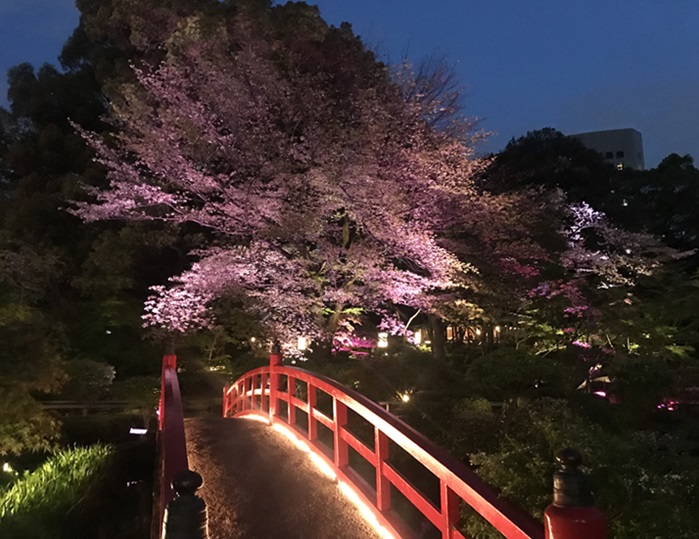 ホテルニューオータニ東京の日本庭園のライトアップ