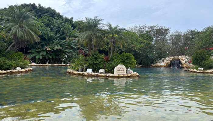 シギラ黄金温泉のジャングルプール。亜熱帯の植物に囲まれた、水着で入れる天然温泉プール