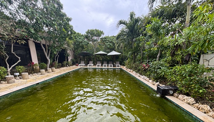 シギラ黄金温泉のスイミングプール